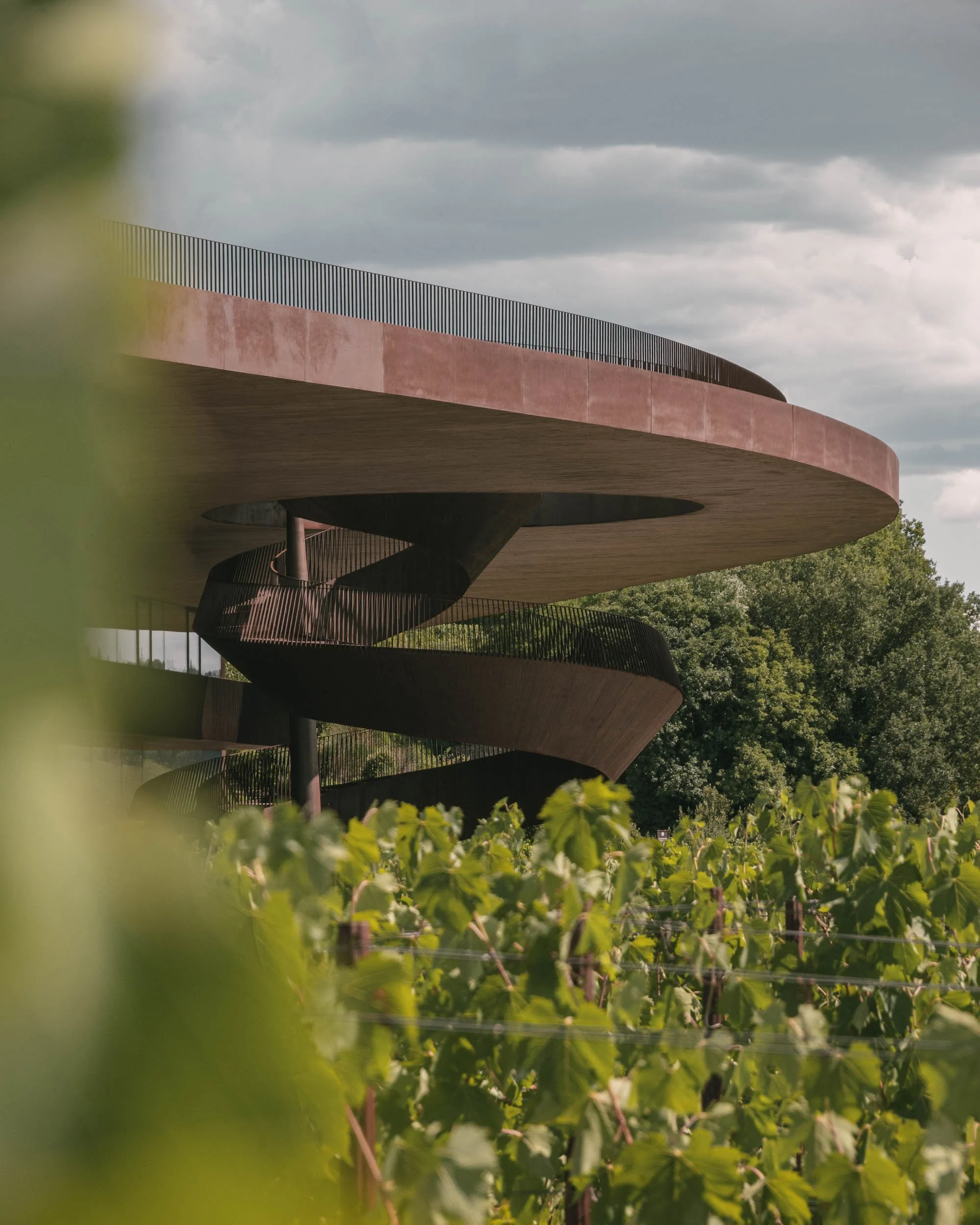 40 Archea Antinori ph_ST.jpg