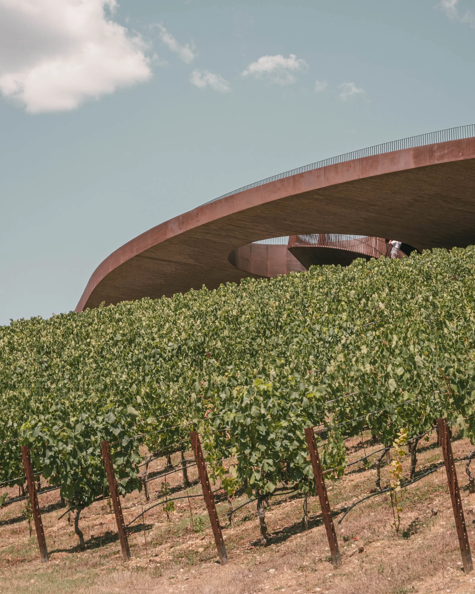 06 Archea Antinori ph_ST.jpg