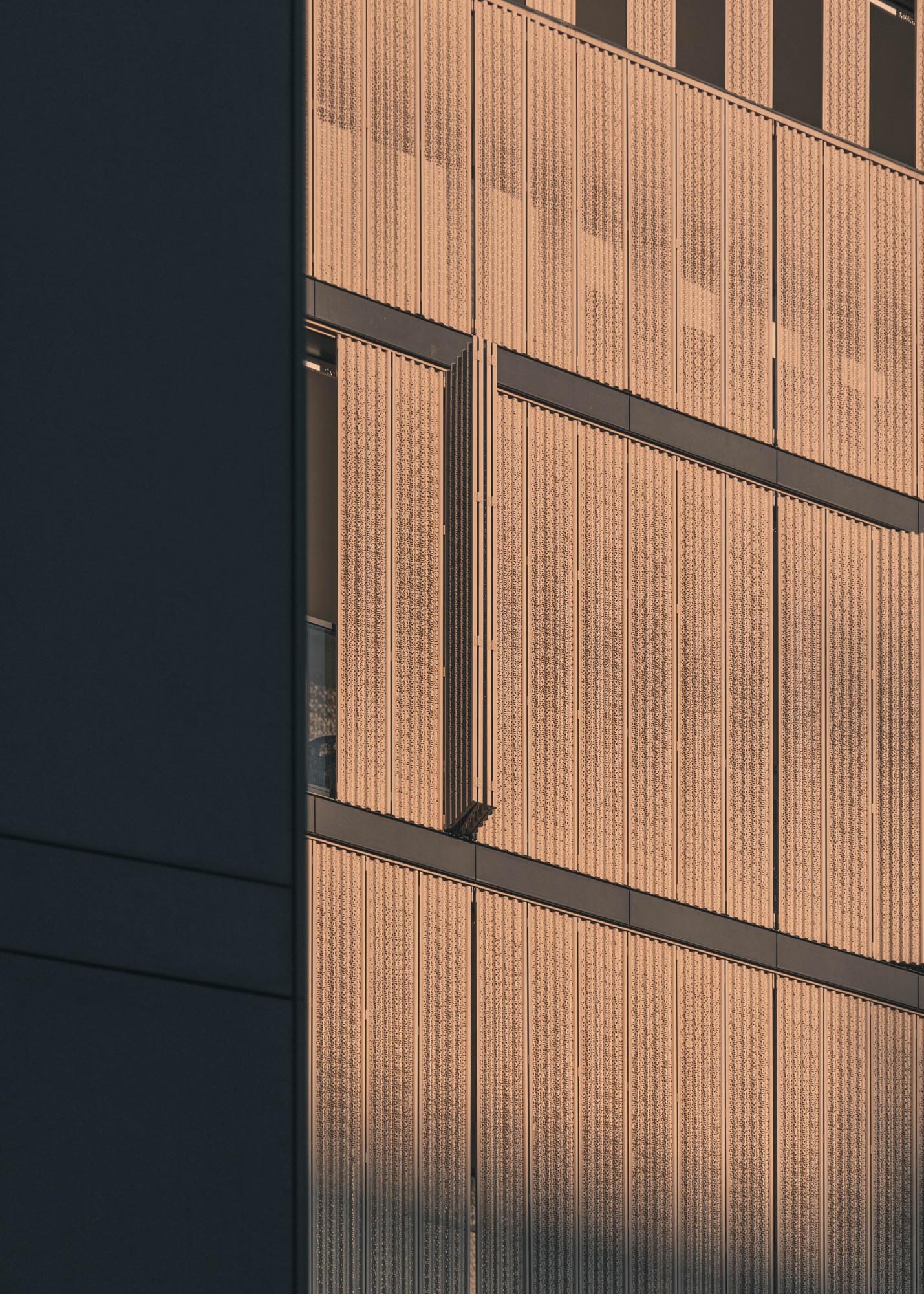 E1.jpg