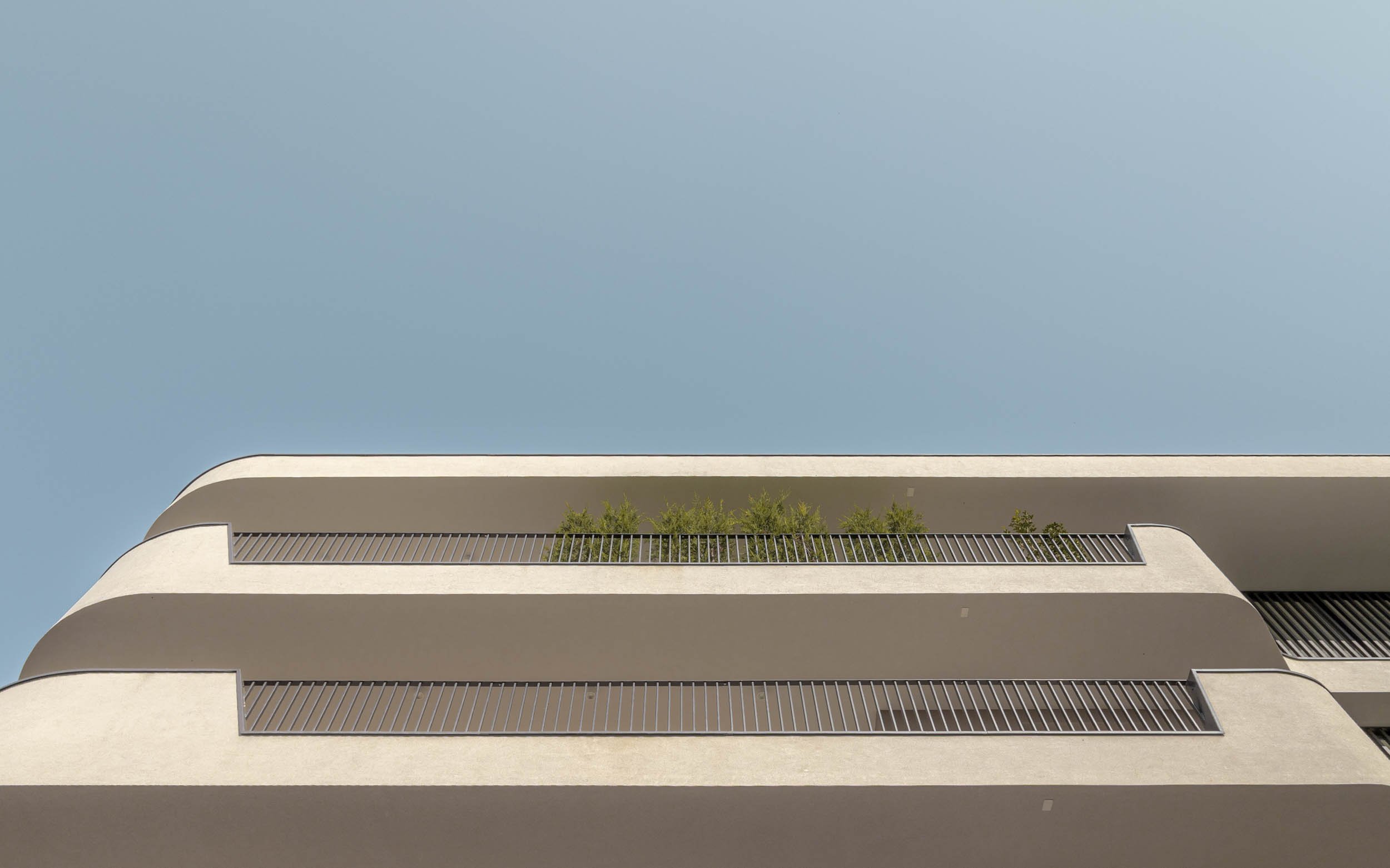 24 Marigolda ph_ST.jpg
