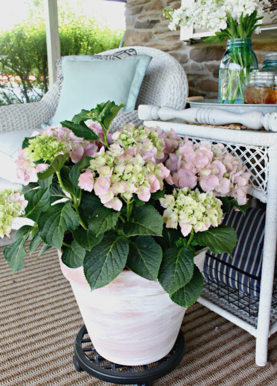 How To White Wash A Terra Cotta Pot