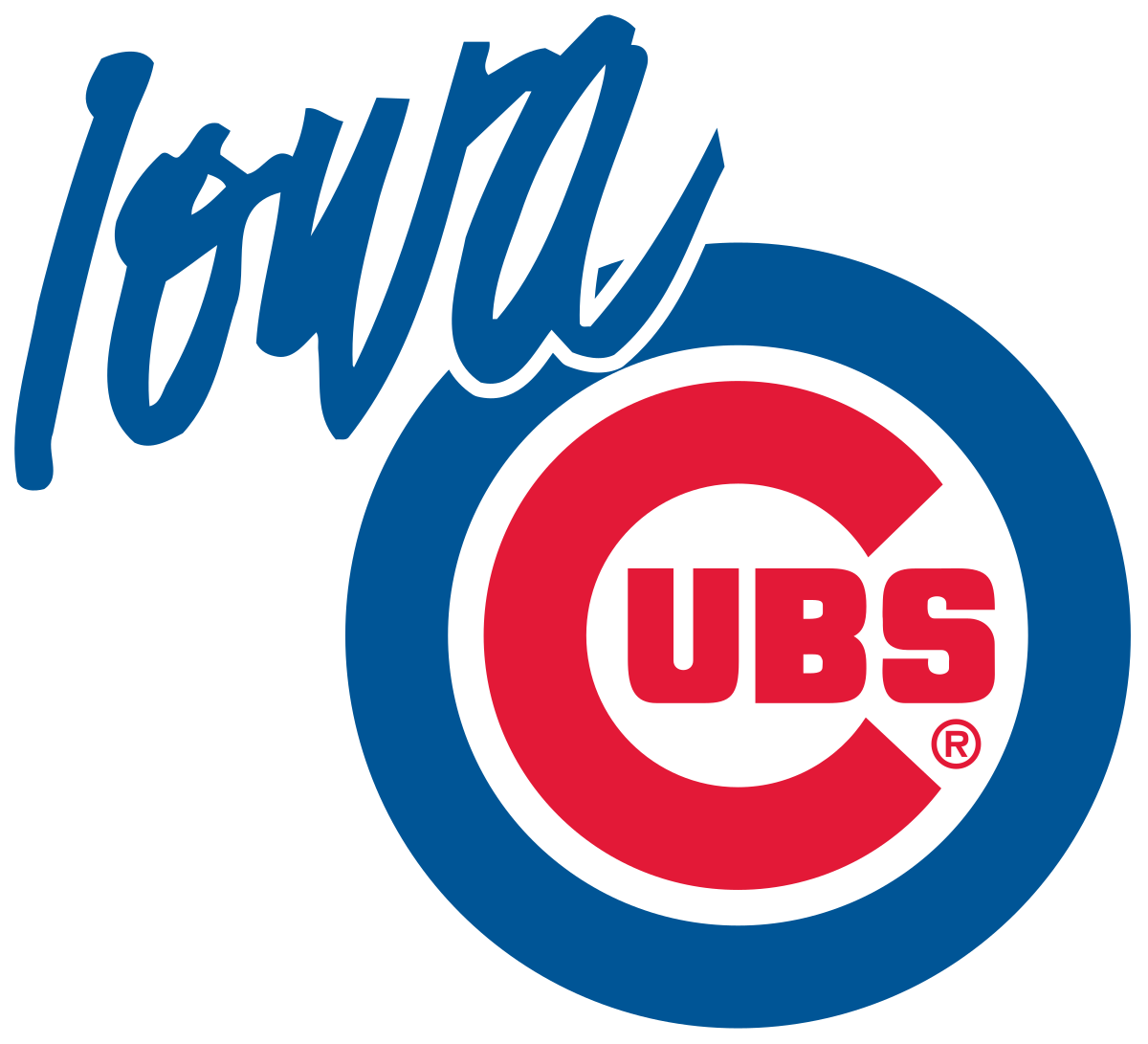 2025 Family Outing - Iowa Cubs Game