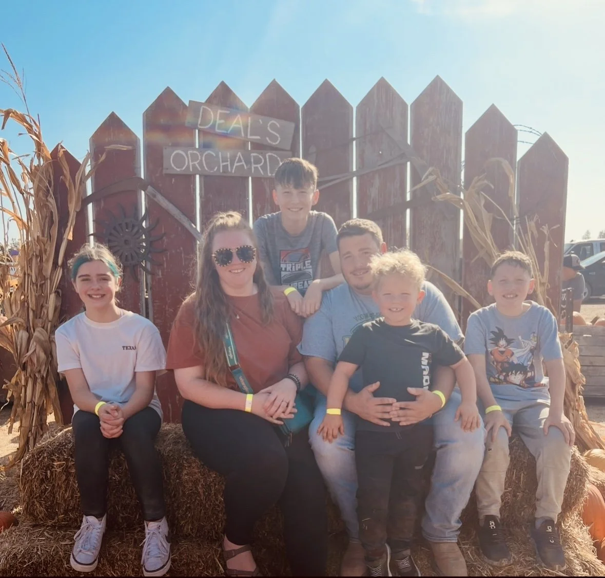 Jacob Hein: Biscuit Fam Orchard 2024