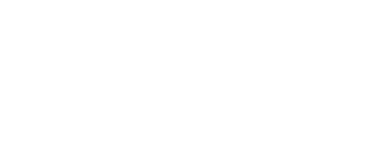 The Insight Project