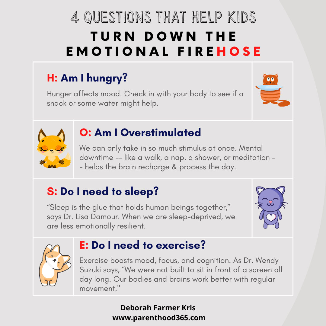 4 Questions That Help Kids Turn Down the Emotional FIREhose