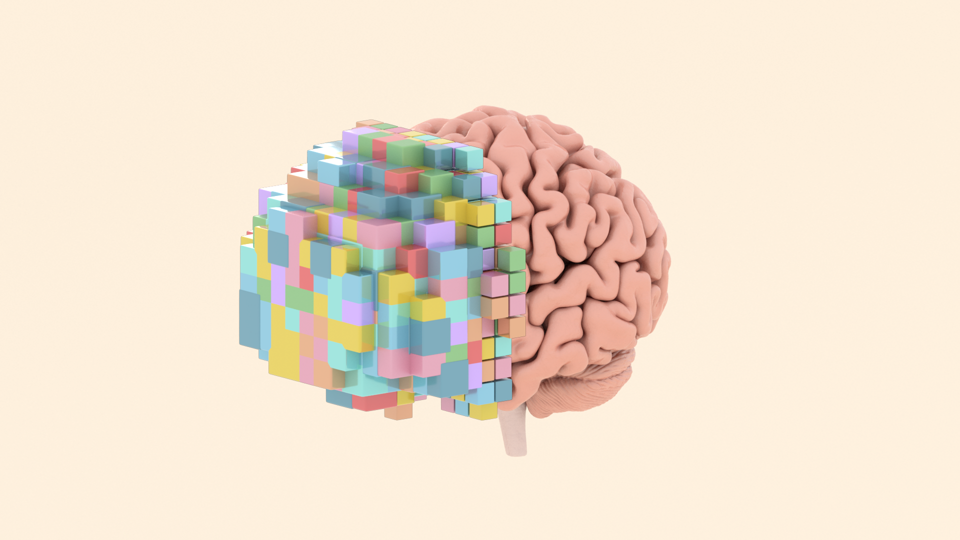 TBI, Sex and Gender