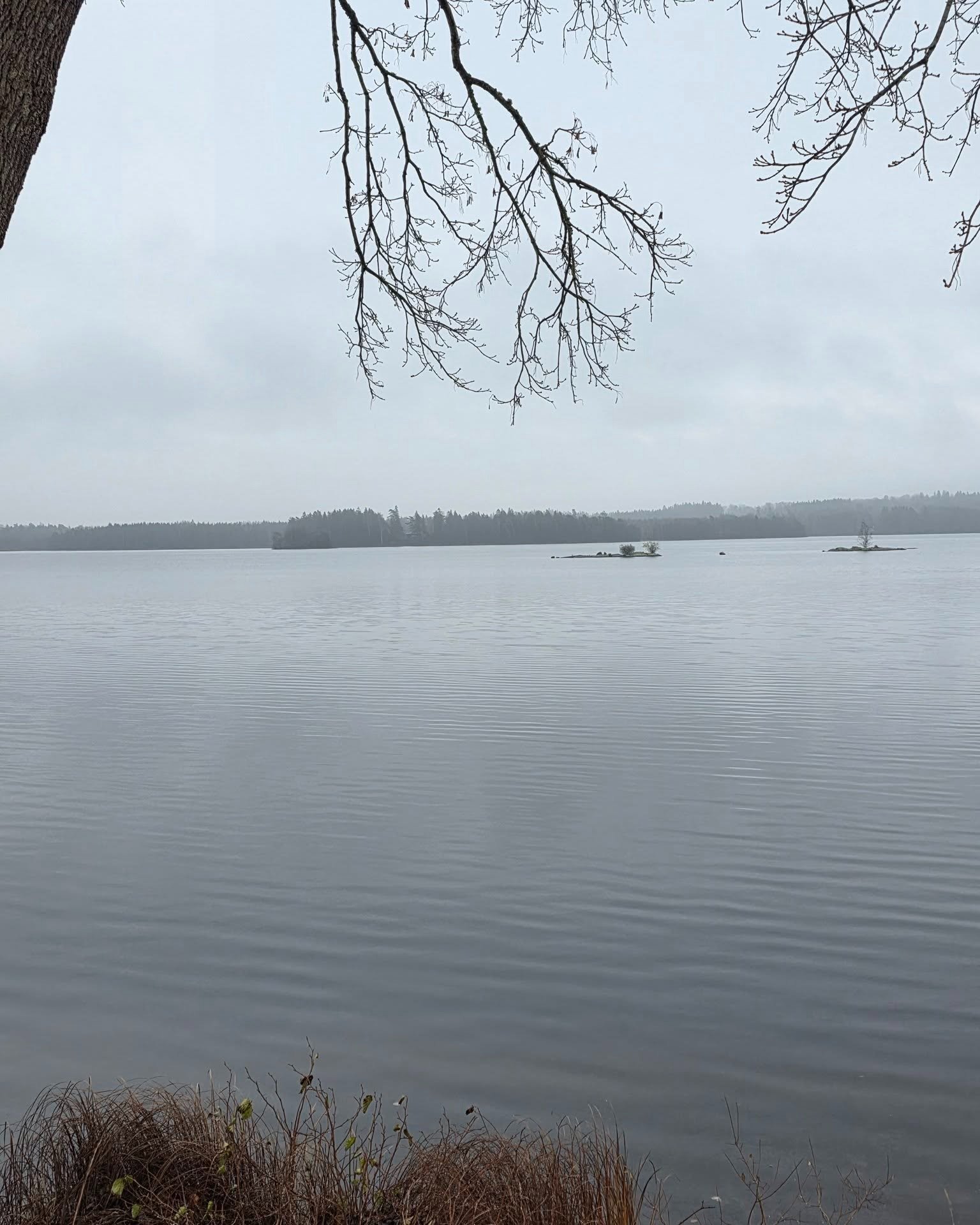 🍂Vi b&ouml;rjar veckan med ett kundbes&ouml;k i ett h&ouml;stigt Hind&aring;s.🍂 

Vi pratade inv&auml;ndiga gardiner och hur vi kan hj&auml;lpa till att m&ouml;rkl&auml;gga deras sovrum. M&aring;nga olika val som tillslut landade i Dubbelcellsgardi