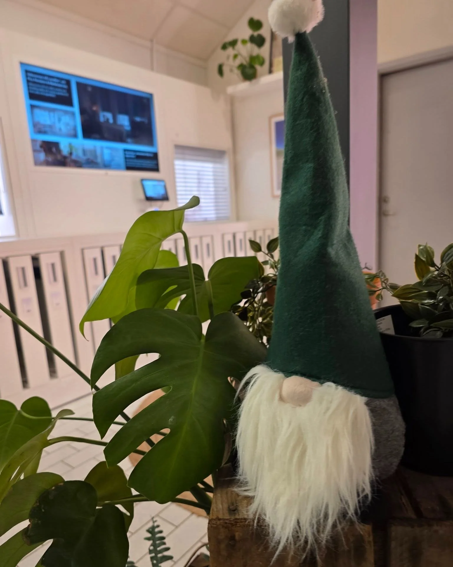 Nu g&aring;r vi p&aring; julledigt, vi &auml;r tillbaka igen den 7 januari.

VI &ouml;nskar er alla en God Jul!

031 &ndash; 22 17 60 
www.pg-markis.se 
📍 G&ouml;teborg | August Barks Gata 11
📍 Landvetter | Byv&auml;gen 22
- Se v&aring;r hemsida f&