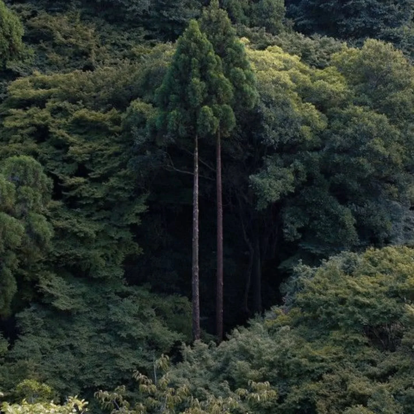 L'APPEL DU TAMBOUR 
Retraite de cr&eacute;ation de Tambour M&eacute;decine, yoga et pratiques chamaniques du 21 au 24 juillet en Bourgogne, dans un lieu magique perch&eacute; en haut d'une colline, en pleine nature...

❤️&zwj;🔥DERNI&Egrave;RE PLACE 
