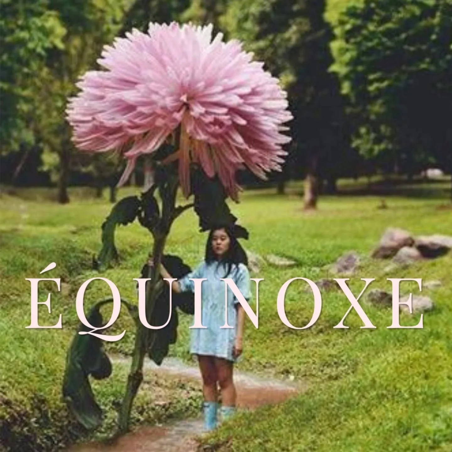 &Eacute;QUINOXE DE PRINTEMPS 
Vendredi 20 mars, 19h30, bois de Vincennes 

Dans la tradition chamanique, cet &eacute;quinoxe est un passage important, de la direction Nord &agrave; la direction Est, du deuil au renouveau, du spirituel &agrave; l'inca