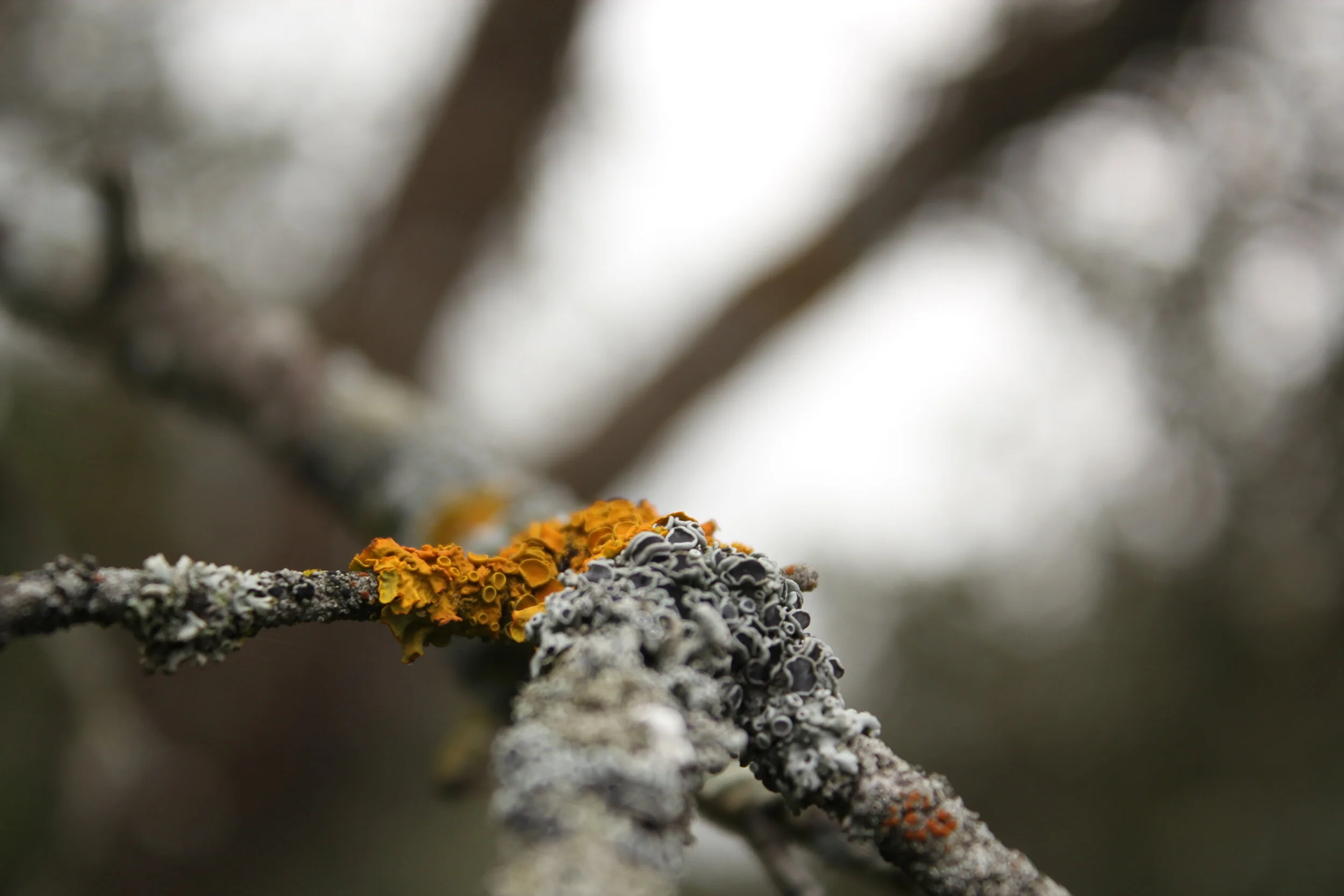 Las joyas tienen pasado