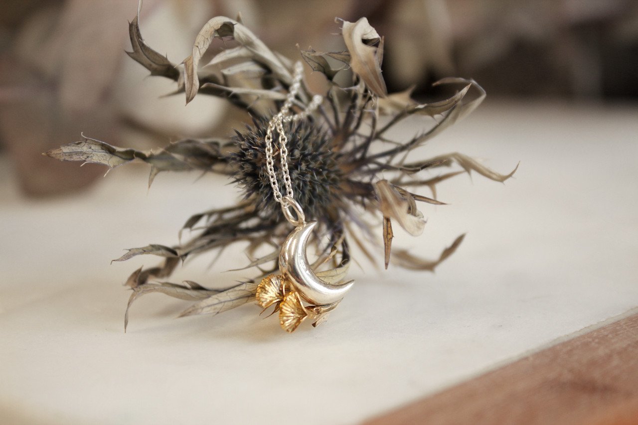 colgante luna florida sobre cardo.jpg