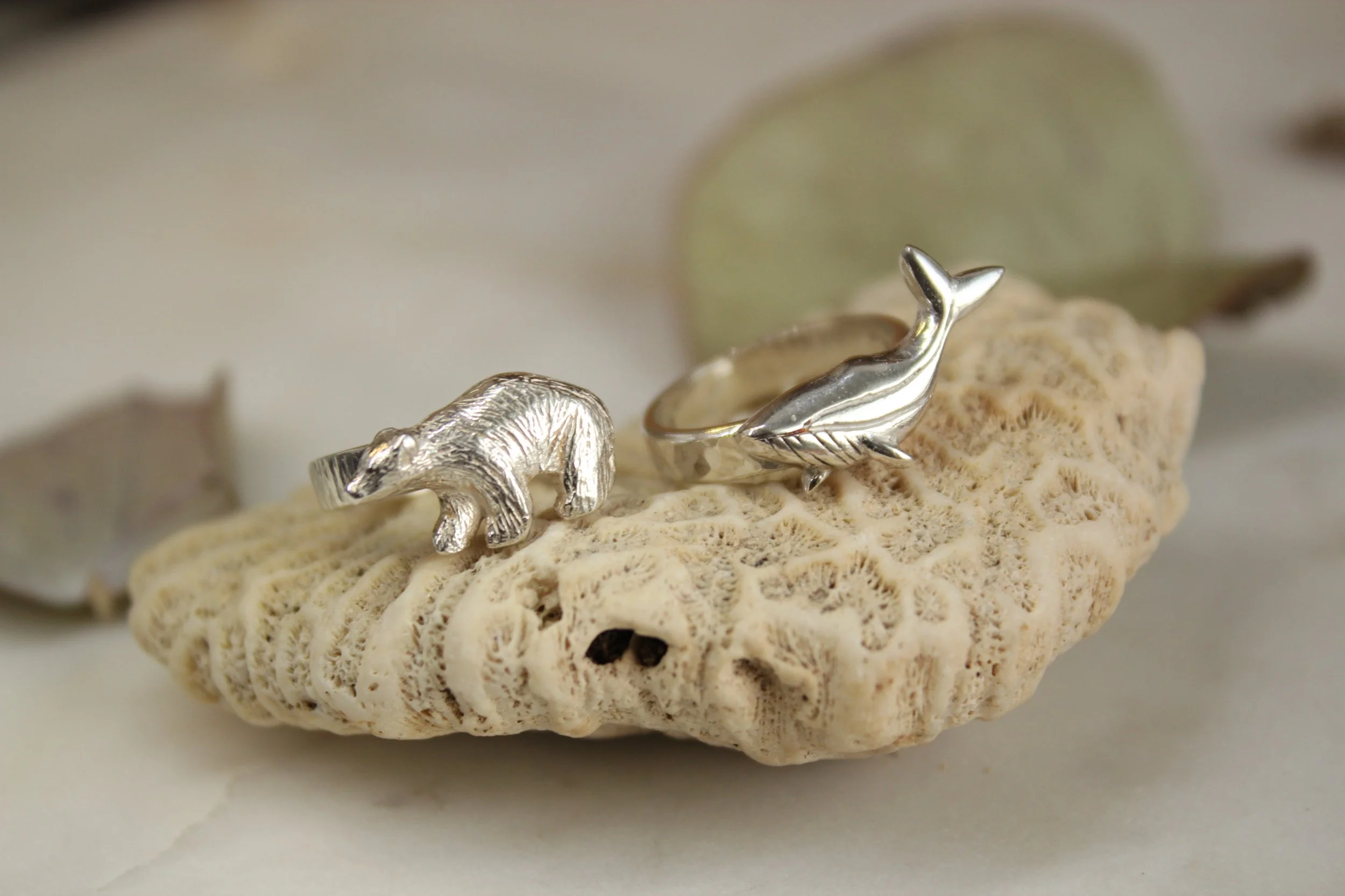 Copia de IMG_7845.JPG