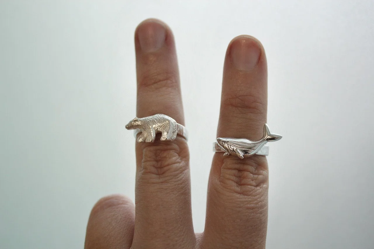 Anillos polares 1.jpg