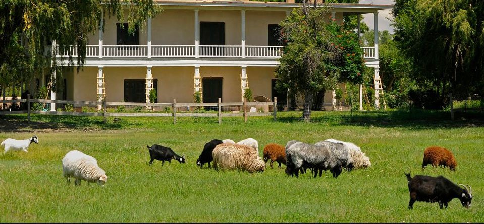 Paint out: Los Luceros Historic site