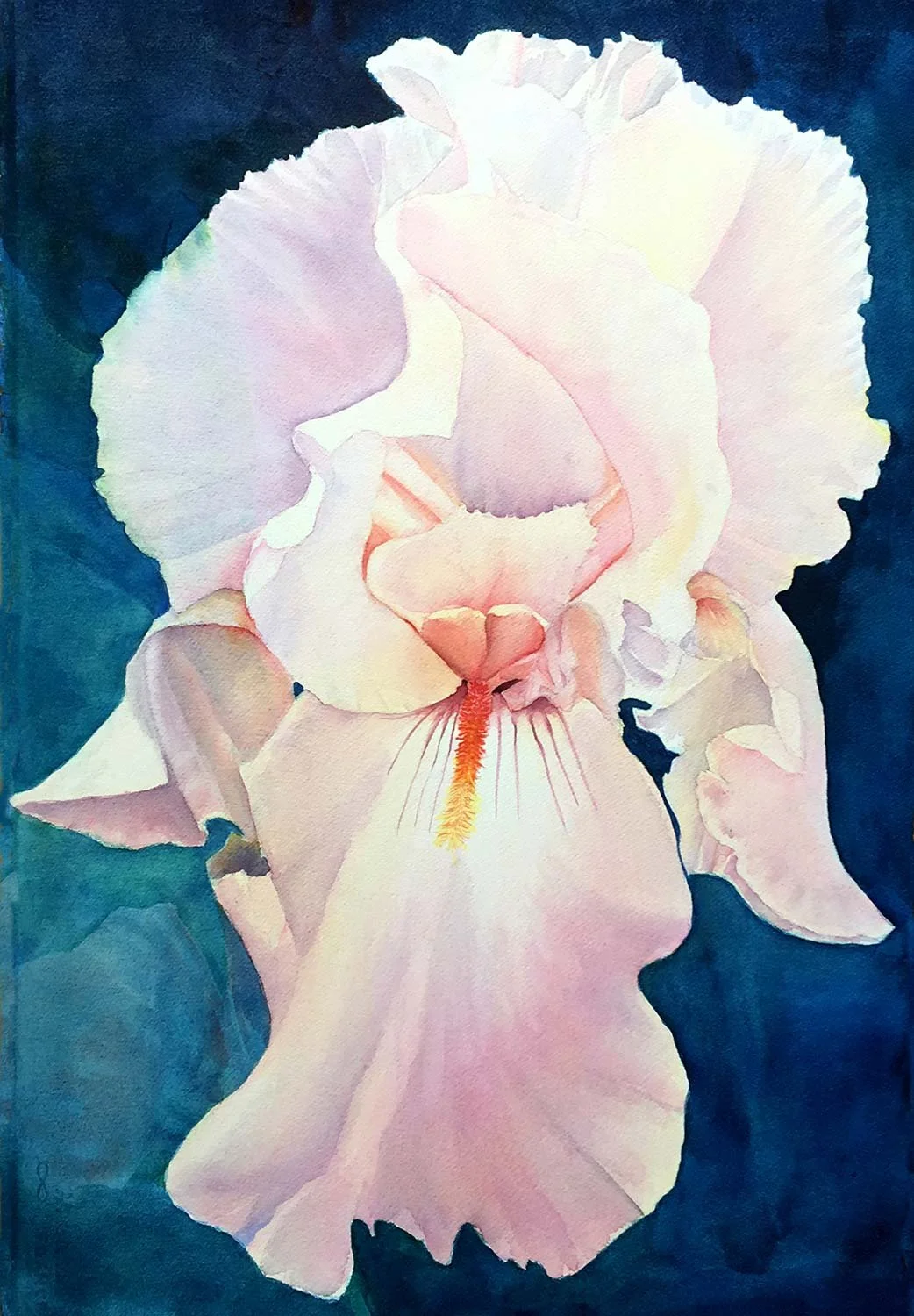 Wicker 5 pink Iris.jpg