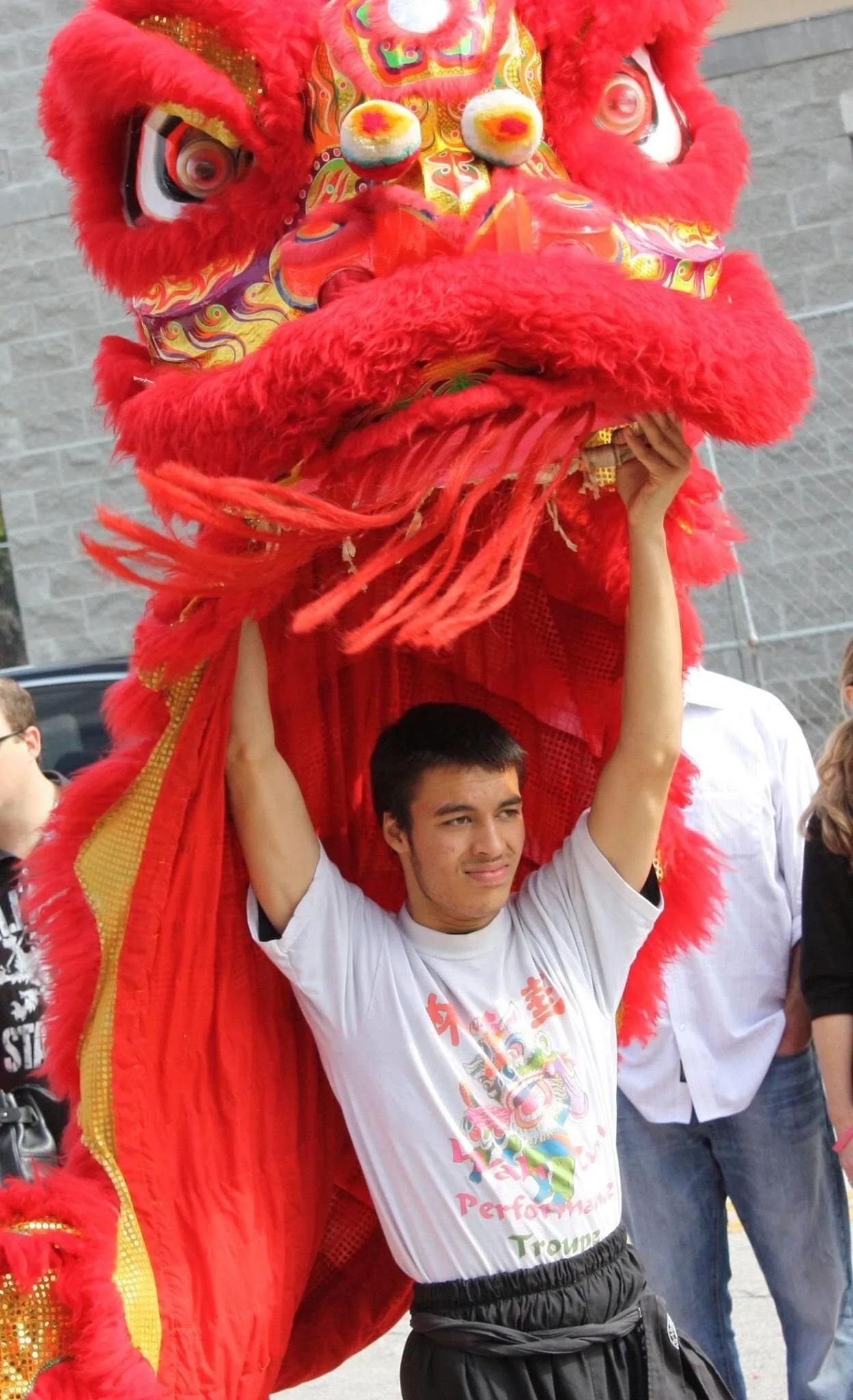 Lion Dance