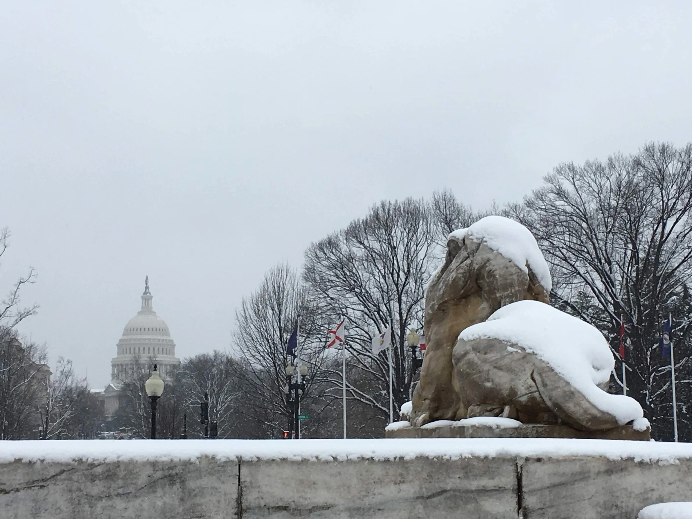Washington, DC