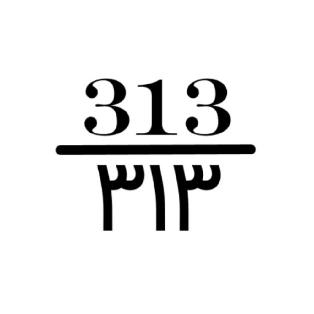 313.jpg