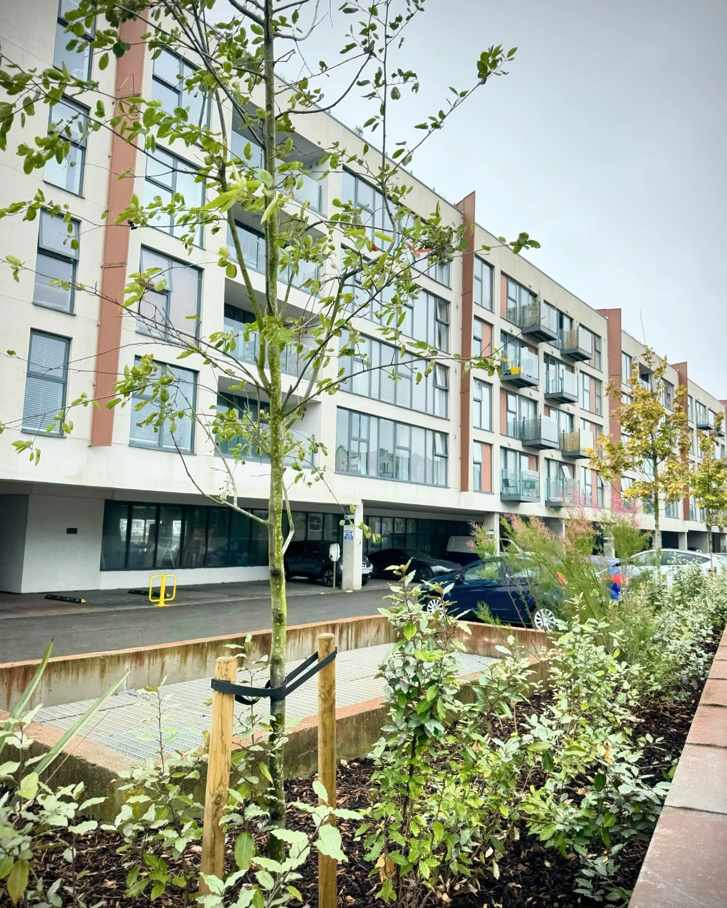 ✨P I T C H✨
A little Friday meeting on this 132 unit block to finish off the week. Lovely people certainly help us with our decisions! 
Invoice run to finish the week and then some r&r! 
How has your week shaped up? ⬇️ 
.
.
.
.
.
.
#brightonan