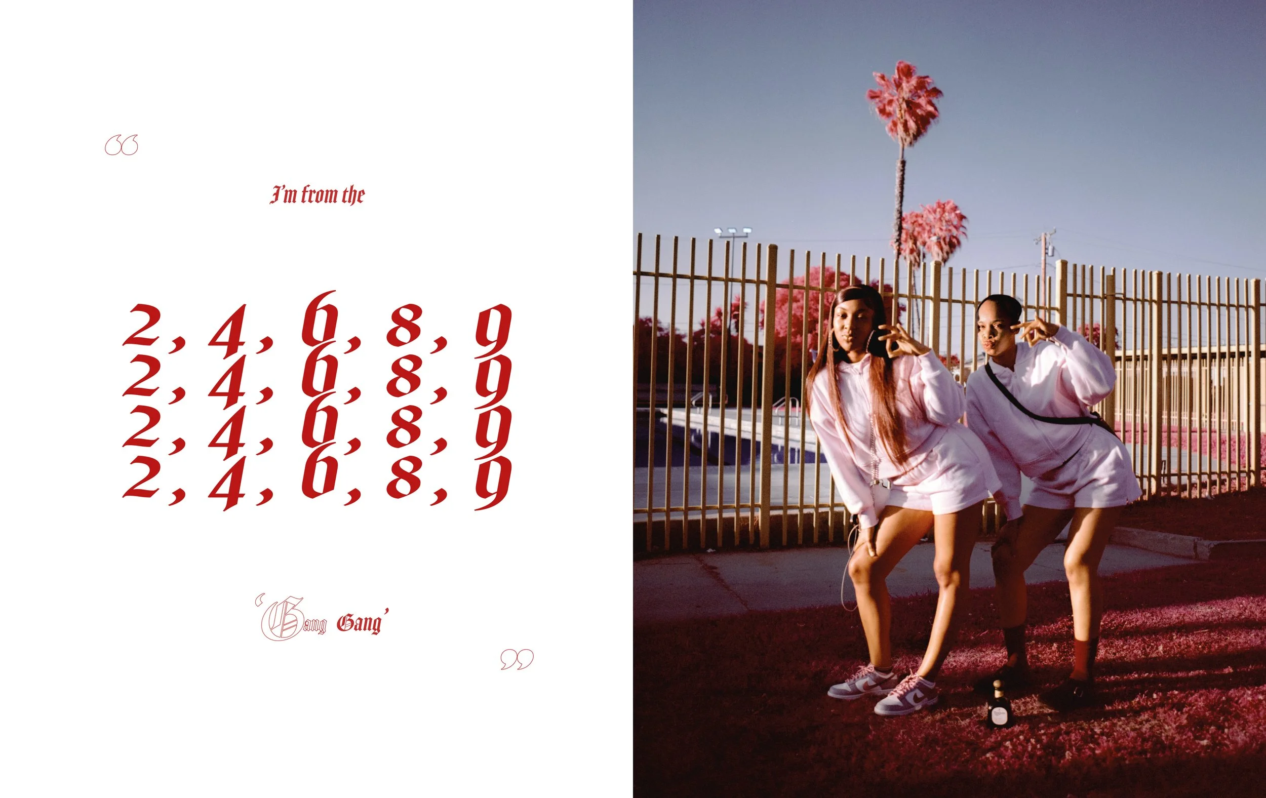 The Palm, On Piru Inside Pages5.jpg