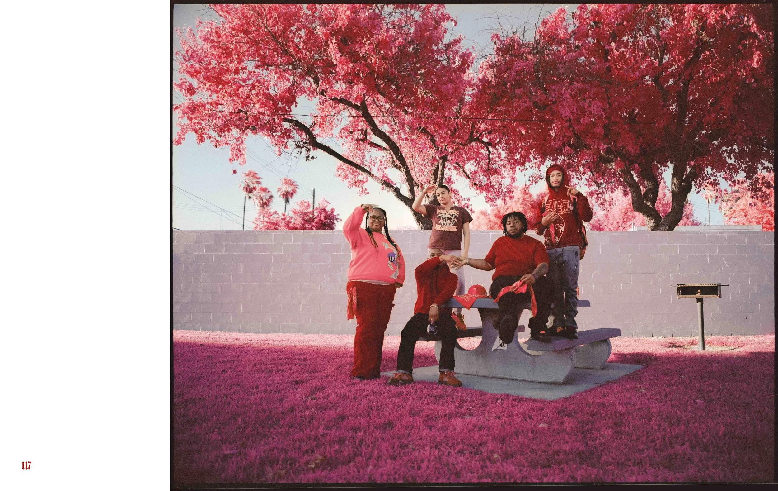 The Palm, On Piru Inside Pages7.jpg