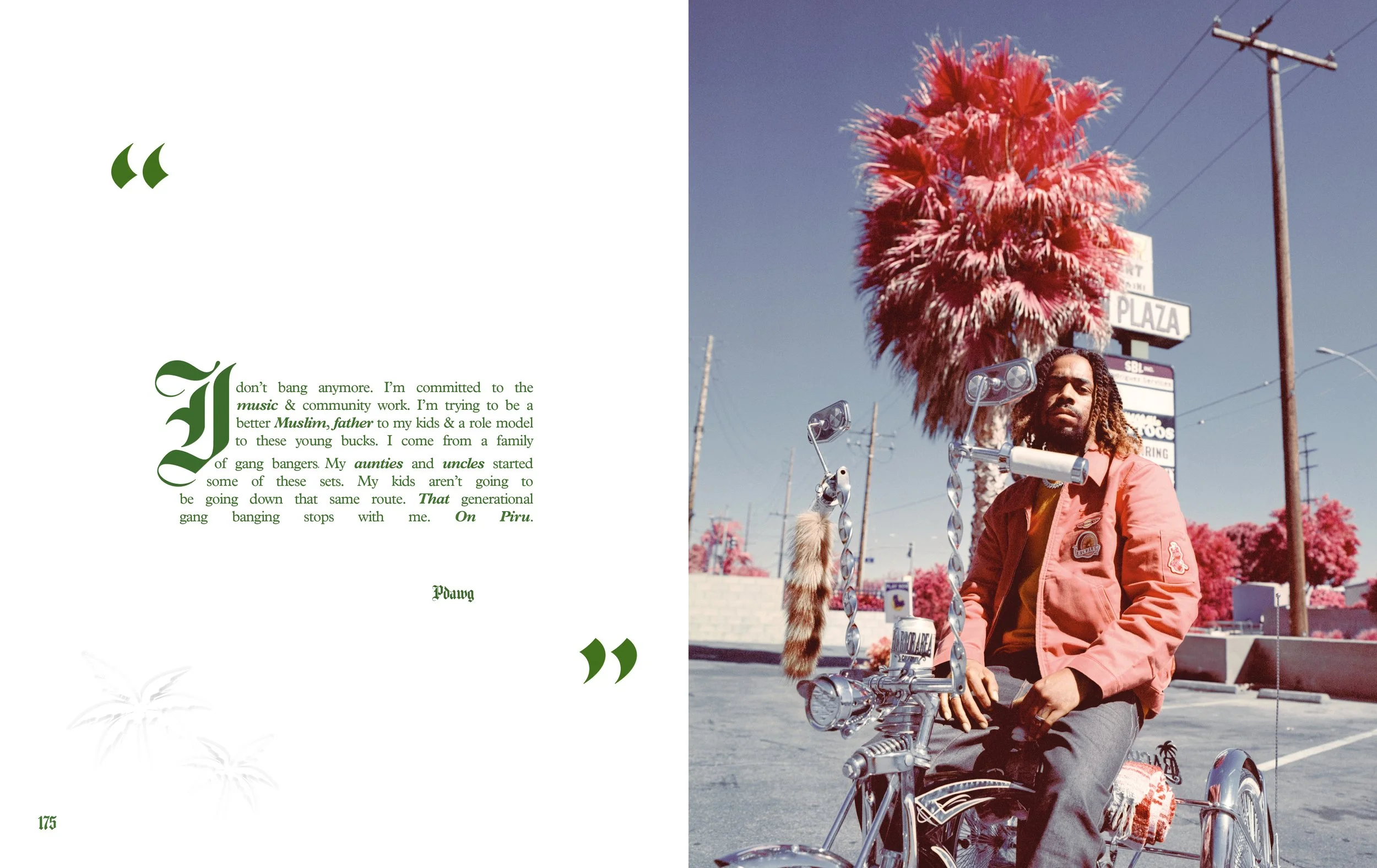 The Palm, On Piru Inside Pages10.jpg