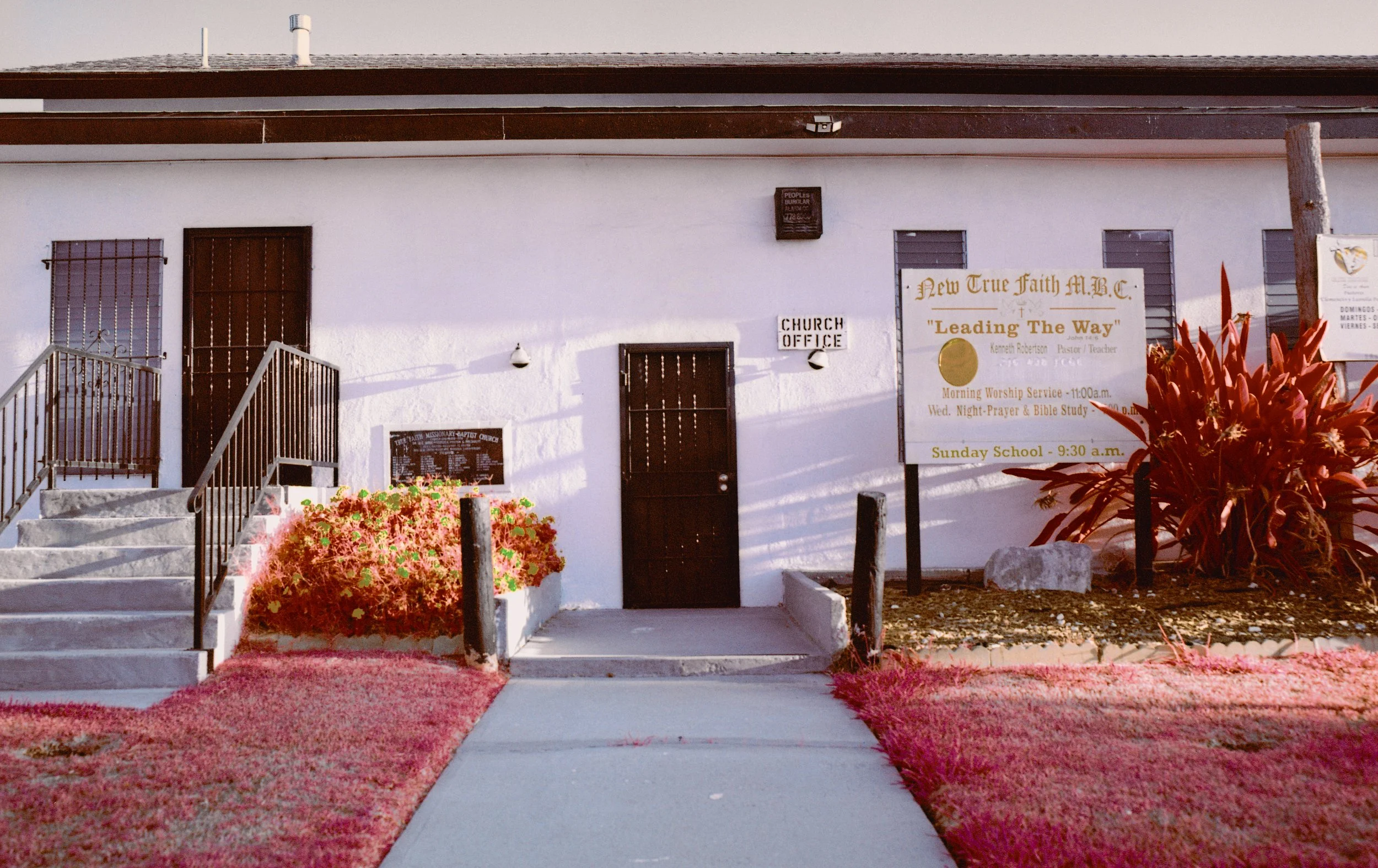 The Palm, On Piru Inside Pages104.jpg