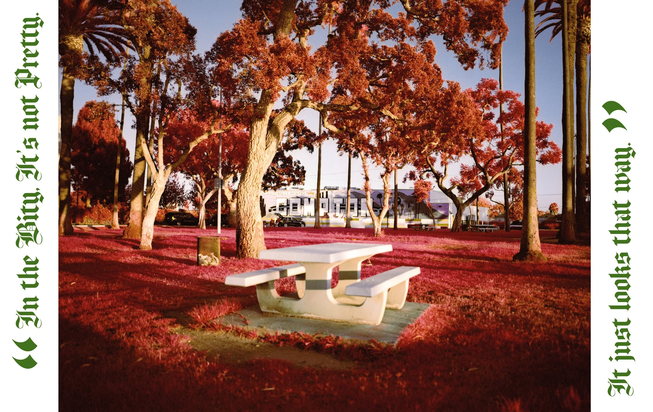 The Palm, On Piru Inside Pages11.jpeg