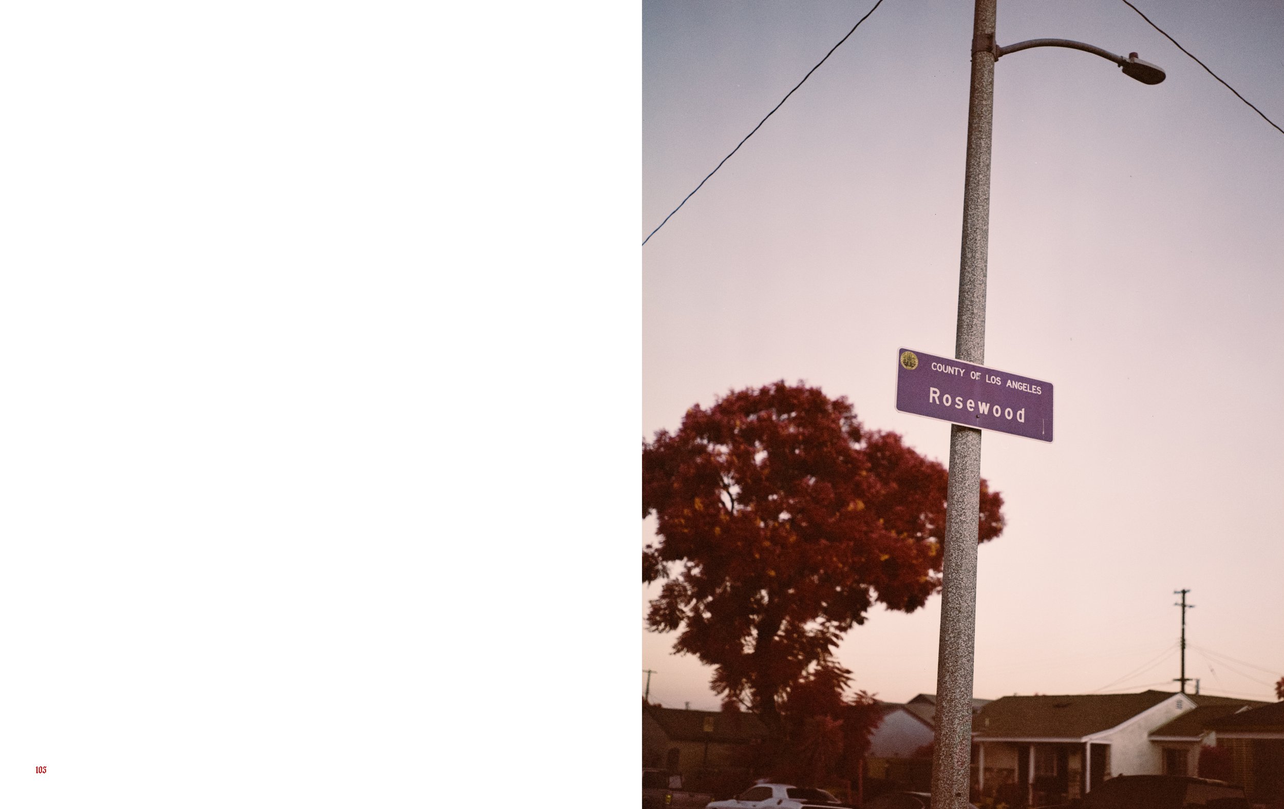 The Palm, On Piru Inside Pages9.jpg