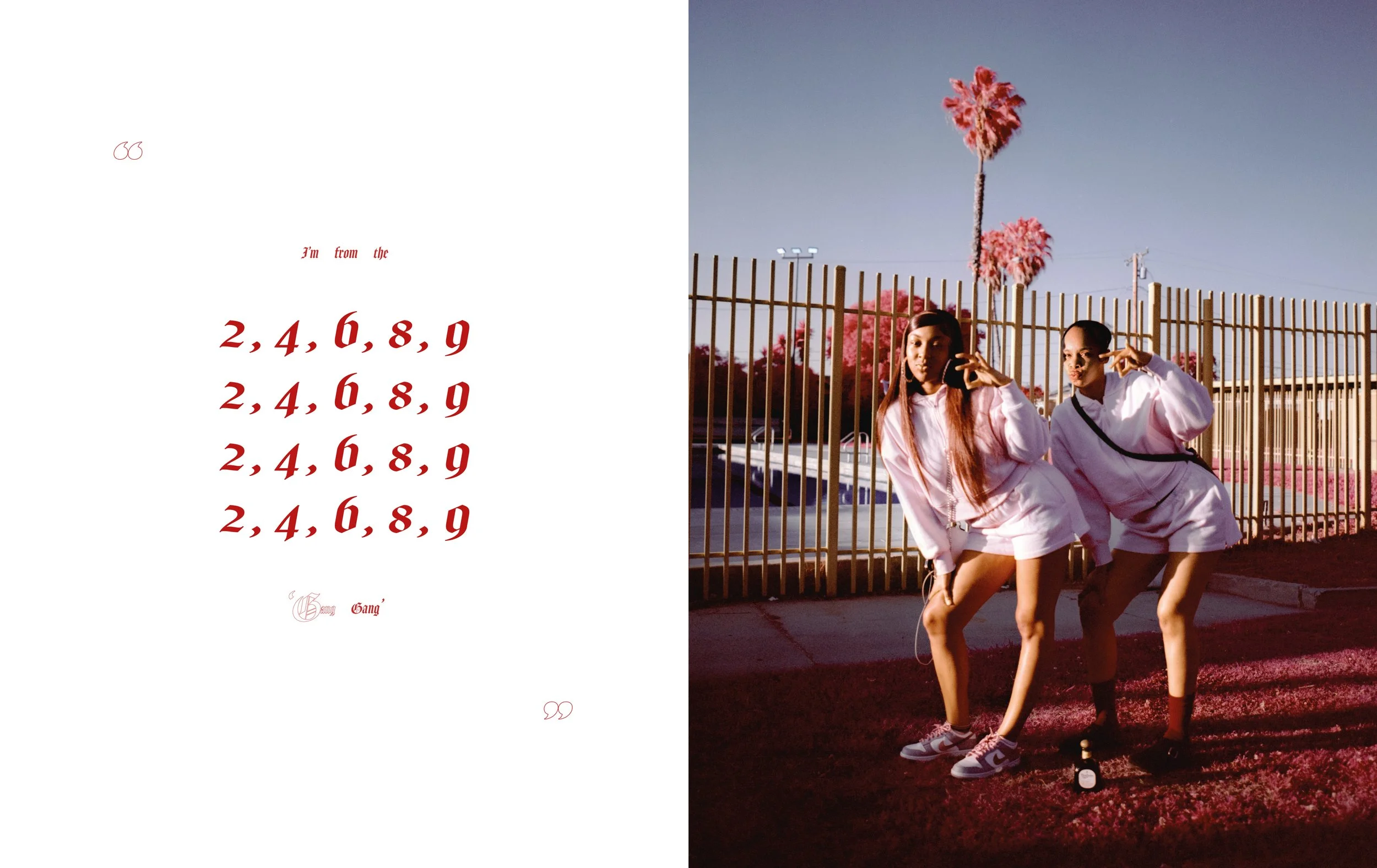The Palm, On Piru Inside Pages8.jpg