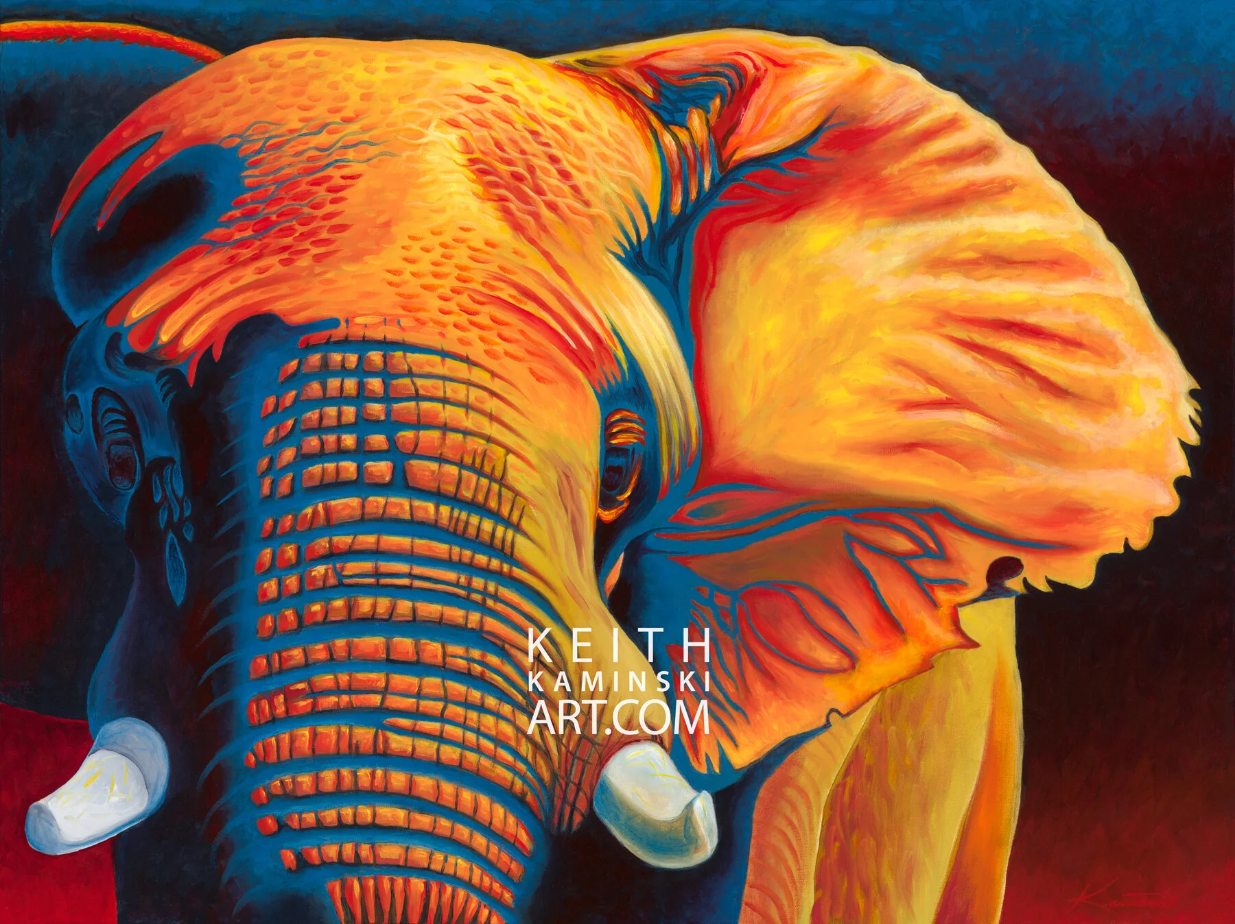 Msholo the Magnanimous