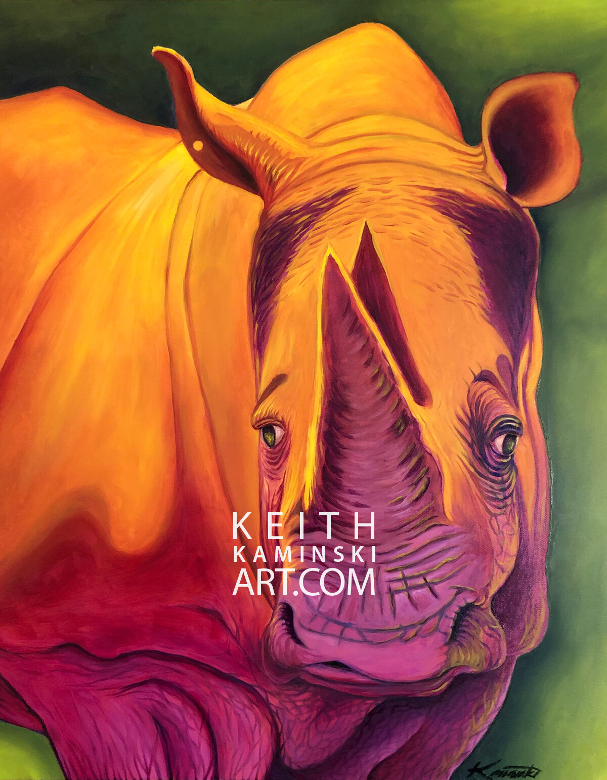 Rising White Rhino