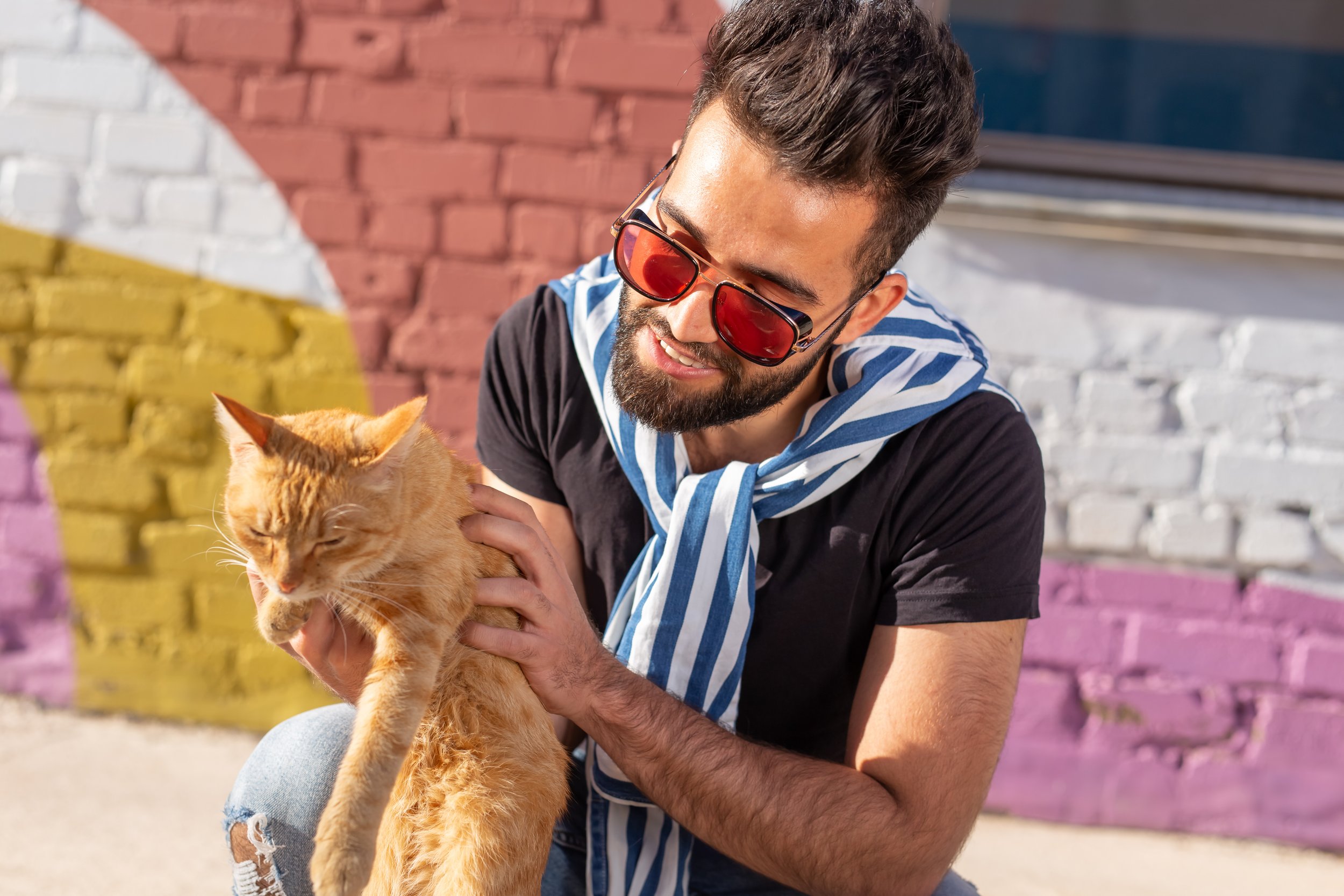 Welcome to Cat Daddy: The Podcast Game Show Where Cat Lovers Reign Supreme!