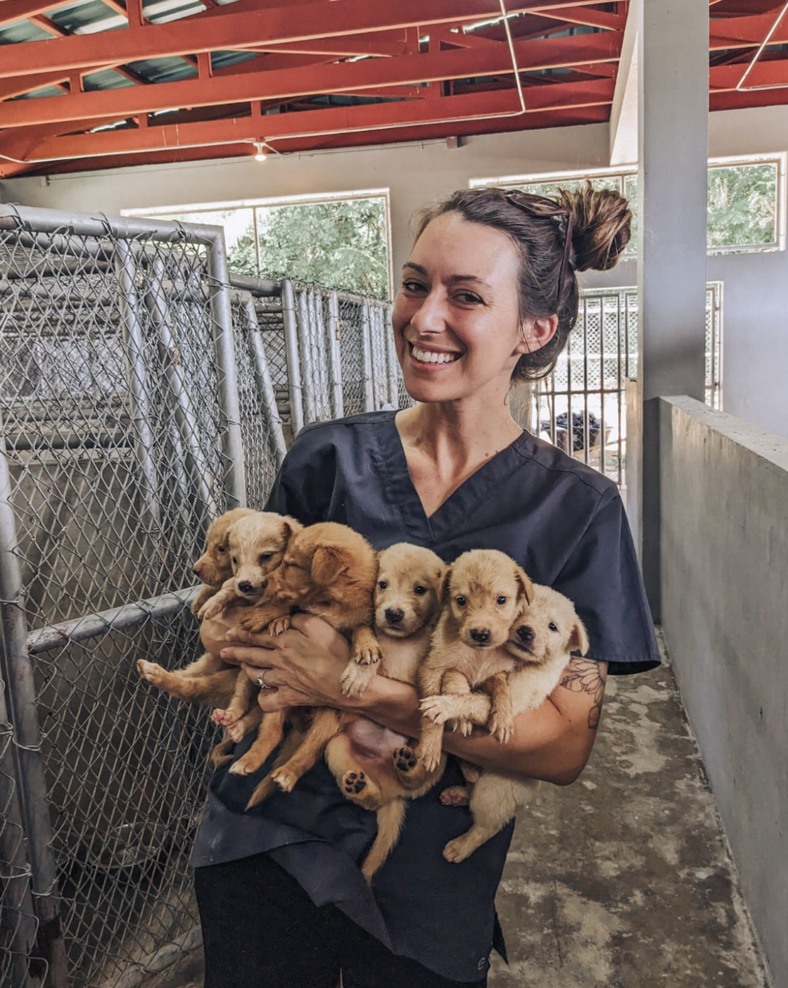 Where There Are No Vets: Lauren Cabrera’s Mission to Save Island Animals