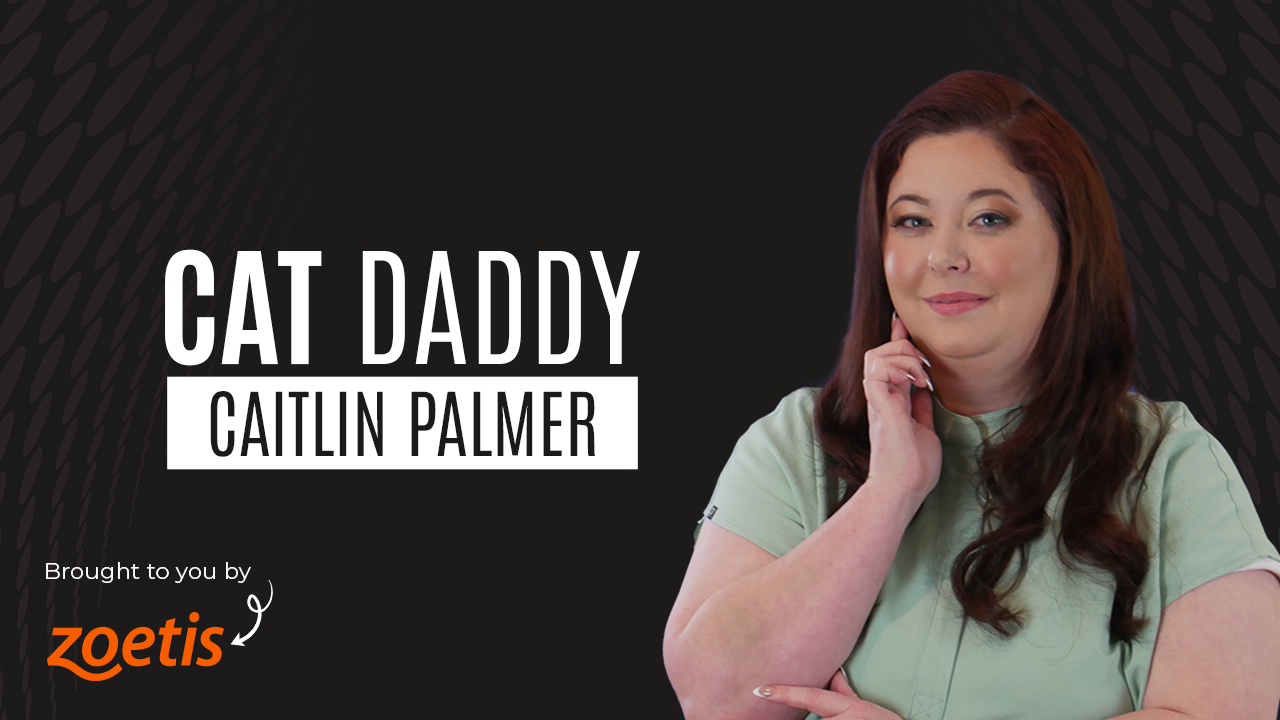Millie Millings, 8 Cats, 1 Cat Daddy