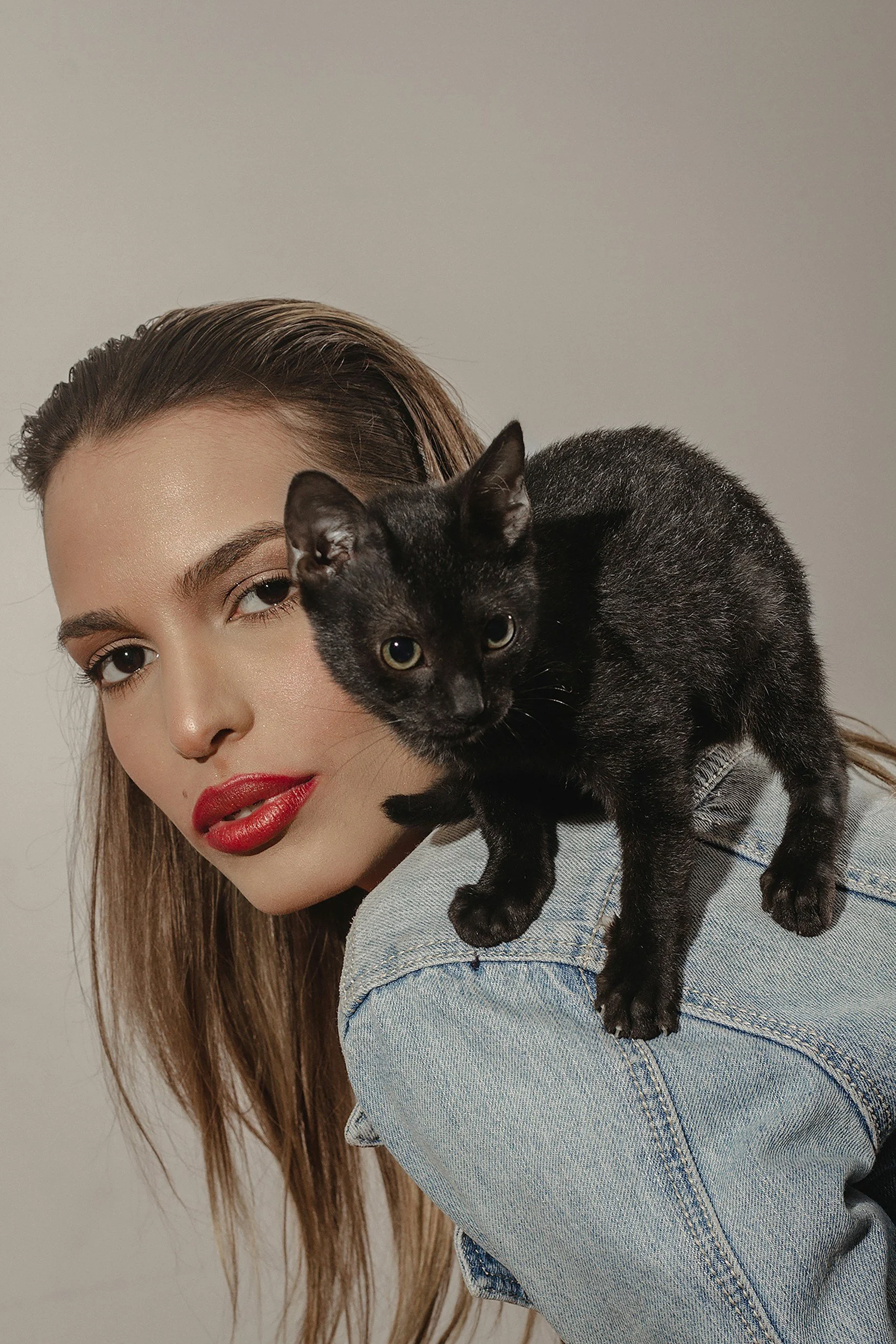 Can You Speak Cat? Understanding What Your Feline Friend Is Really Saying