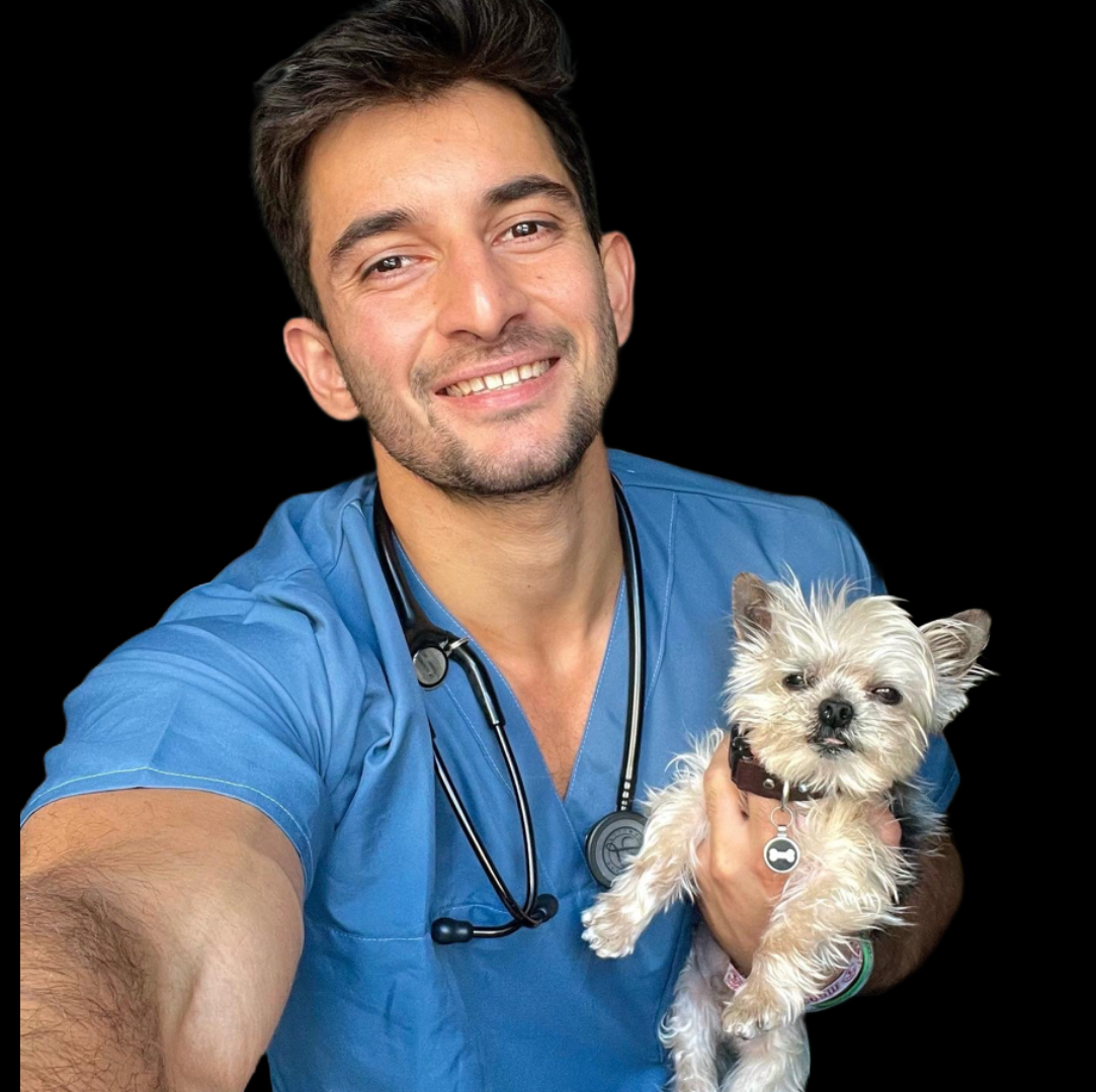 How Dr. Amir Anwary Turned TikTok Fame into a Movement for Better Pet Care