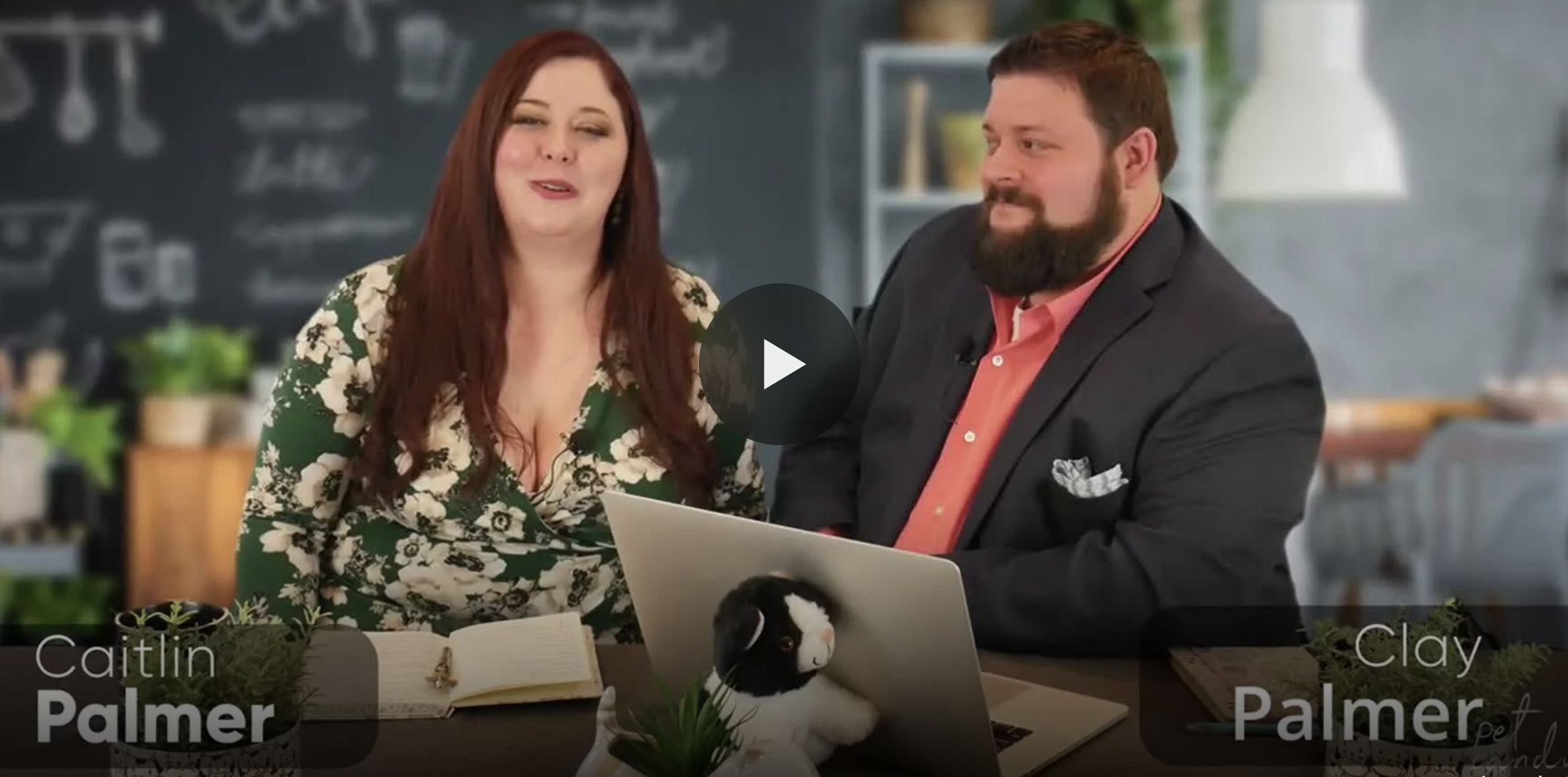 Cat Chaos, Coffee, and Caitlin: The Smartest Cat Lady on the Planet Faces the Ultimate Feline Gauntlet