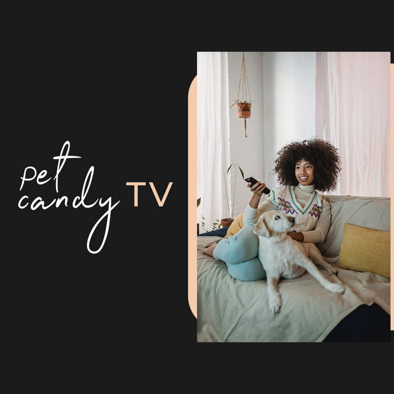 Submit Video | MY PET CANDY Submit Video | MY PET CANDY