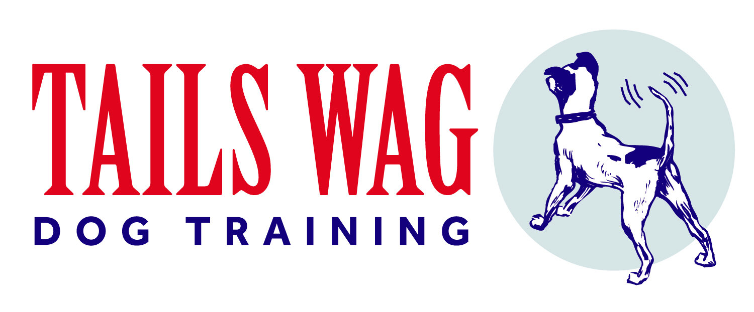 Tails Wag Dog Training
