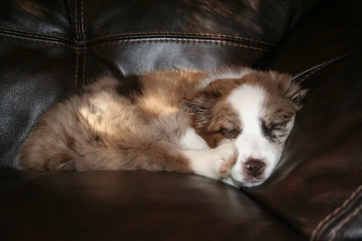 Baby Ella.JPG