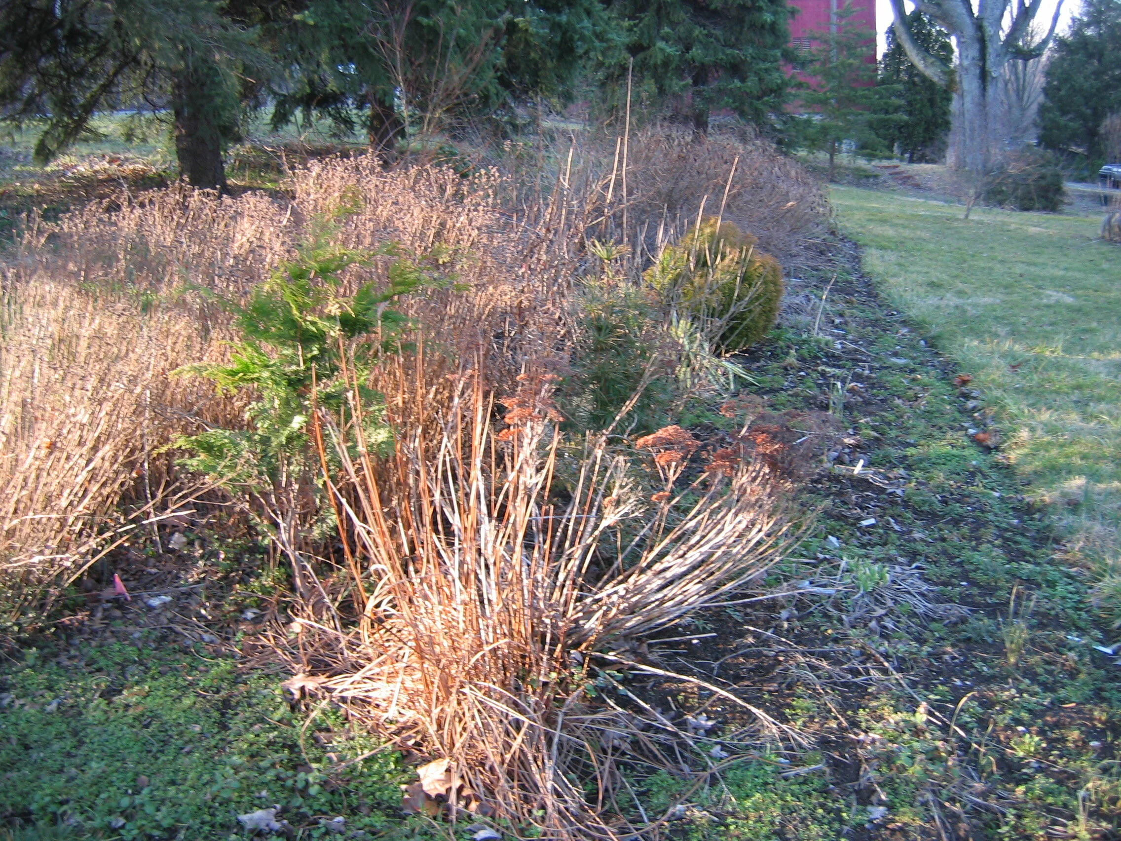 What To Do For Spring Cleanup