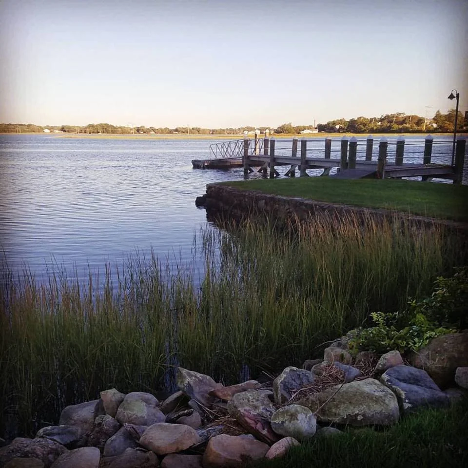 Why Coastal Homes Need a CRMC Certified Landscaper