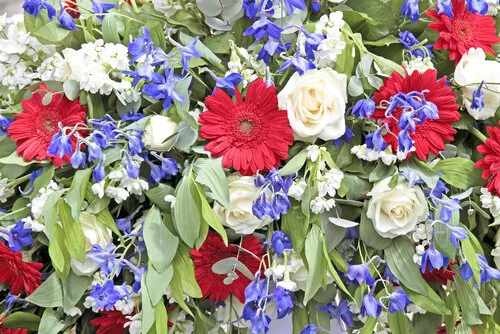 Get Ready for July 4th With Patriotic Annuals and Perennials