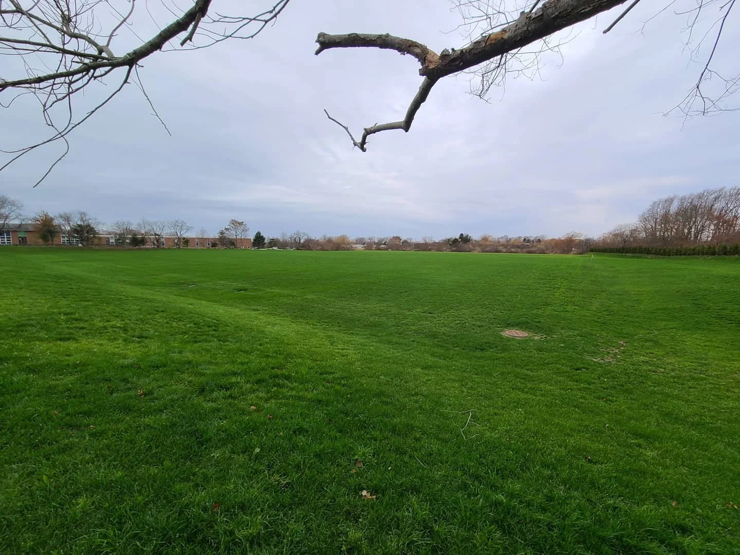 What Is Hydroseeding and How Your Tiverton, RI, Lawn Can Benefit From It