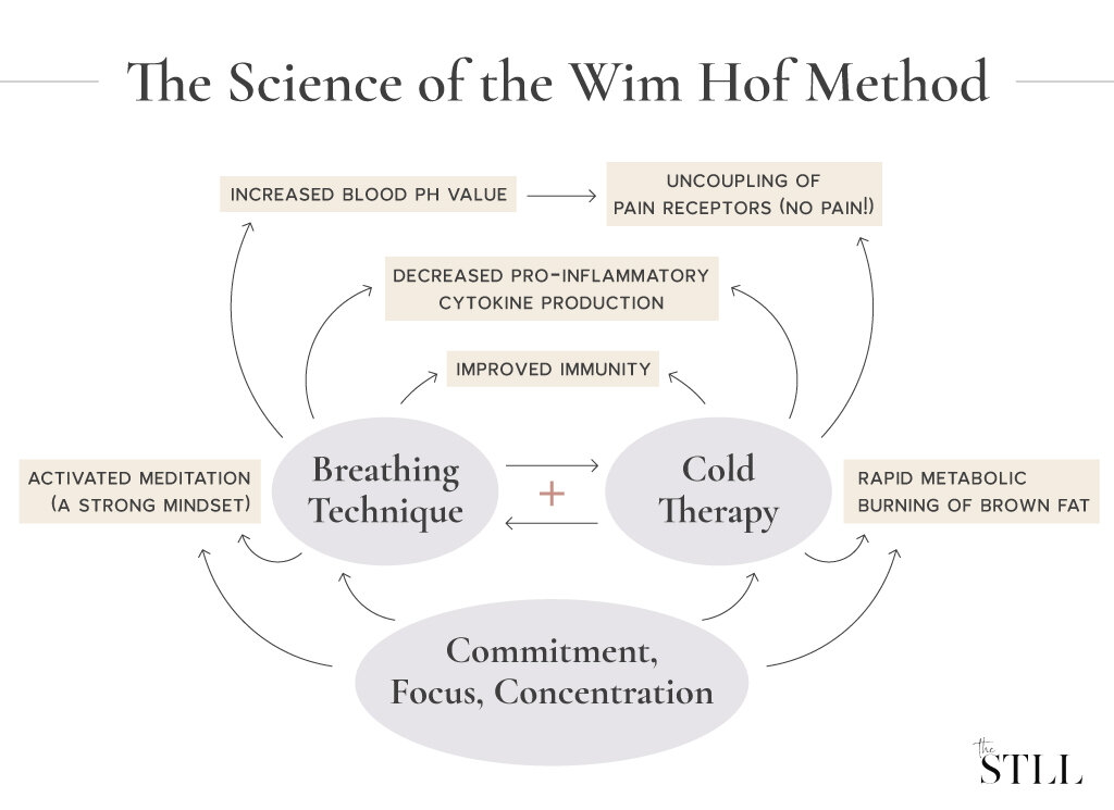 Wim Hof Breathing & method: immune system boost - Supz