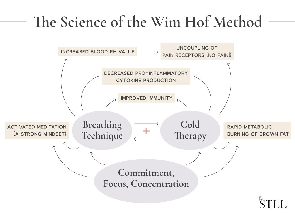 Wim Hof Breath Work and CBD. Mindfully improving the immune system! -  Inflamade