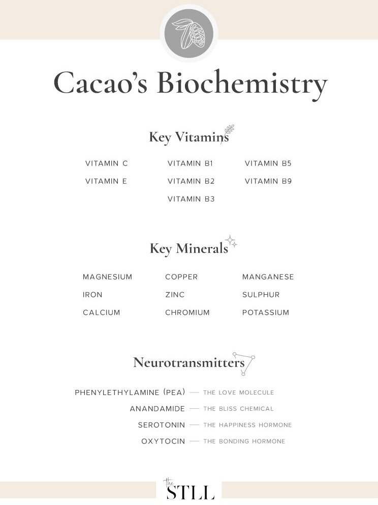 V2_Cacao%27s+Biochemistry.jpg