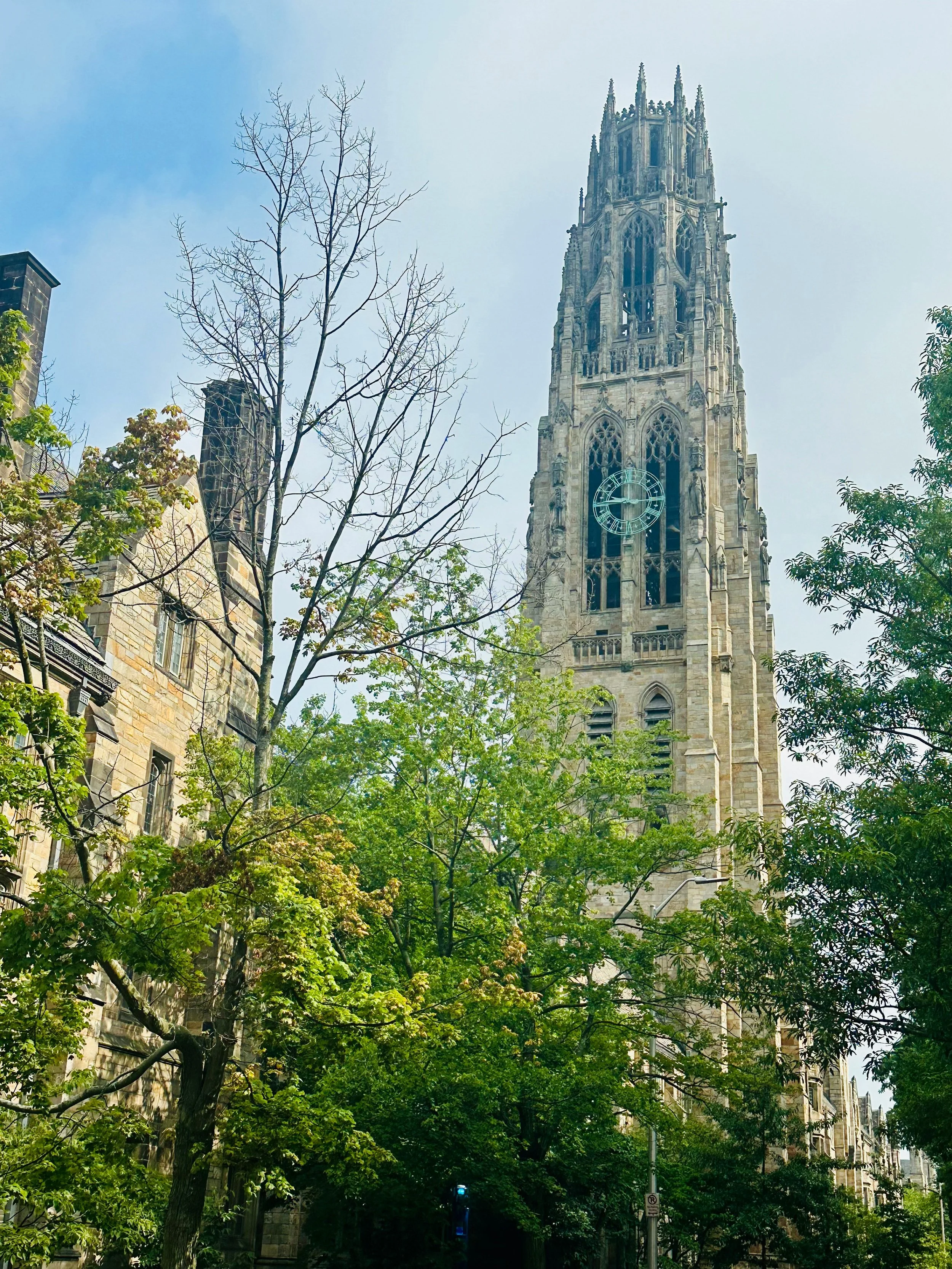 Yale Supplemental Essay Prompts for 2025-2026